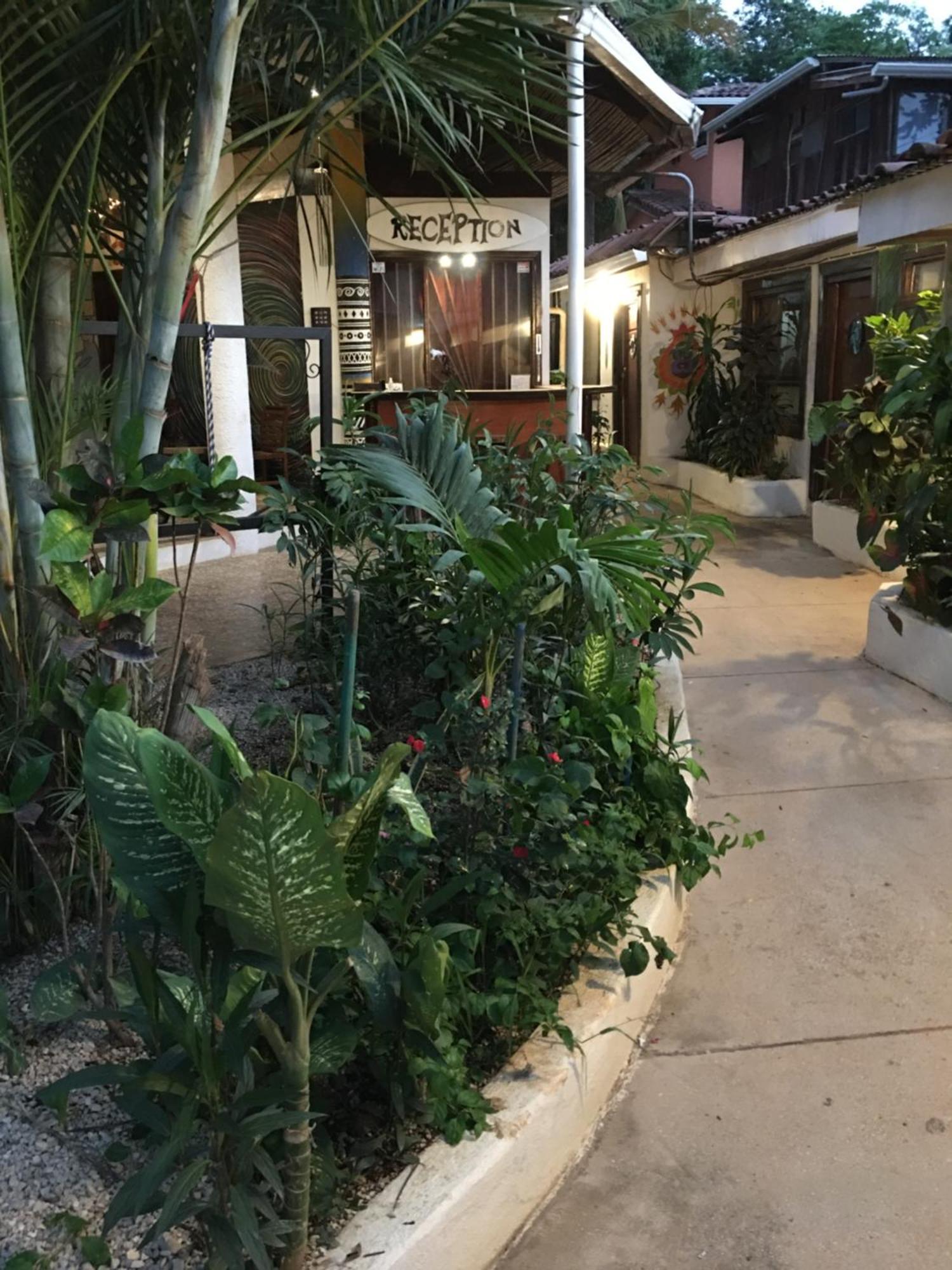Pura Vida Hostel Tamarindo Bagian luar foto