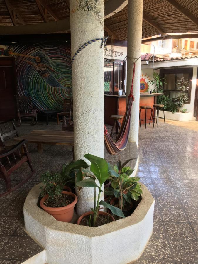 Pura Vida Hostel Tamarindo Bagian luar foto