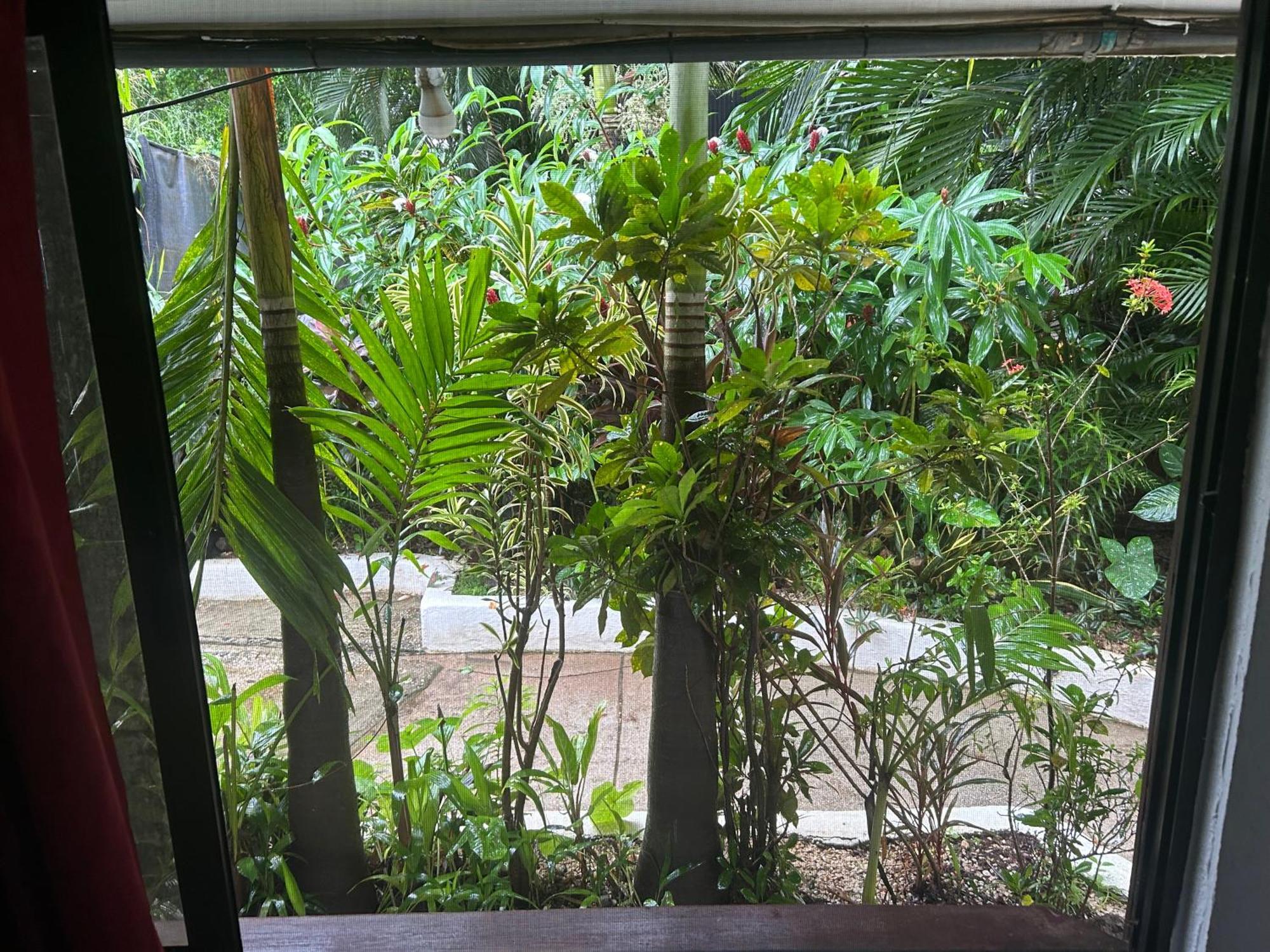 Pura Vida Hostel Tamarindo Bagian luar foto