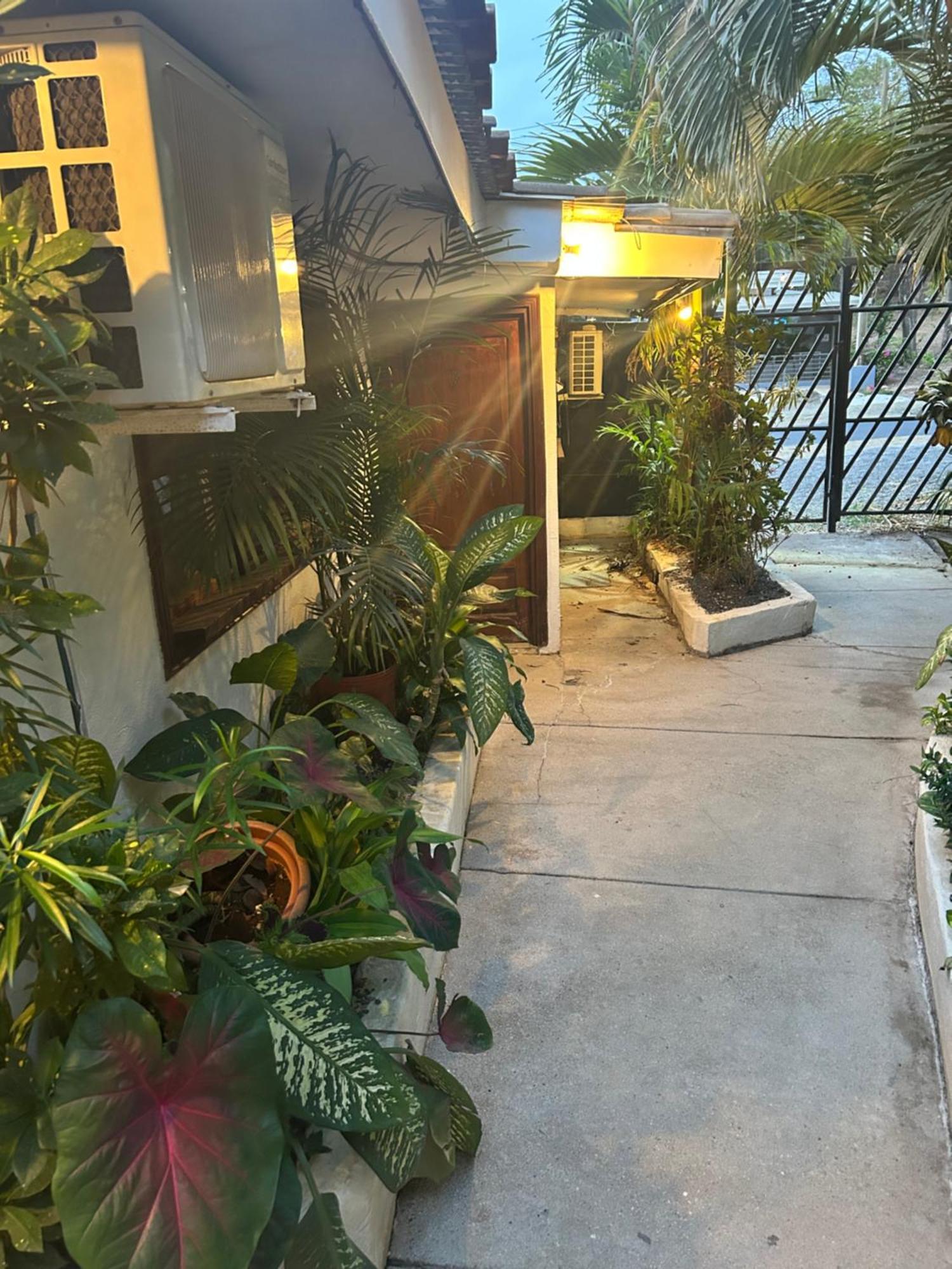 Pura Vida Hostel Tamarindo Bagian luar foto